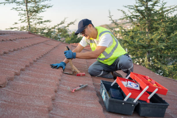 Best Roof Gutter Cleaning  in Meridian, MS