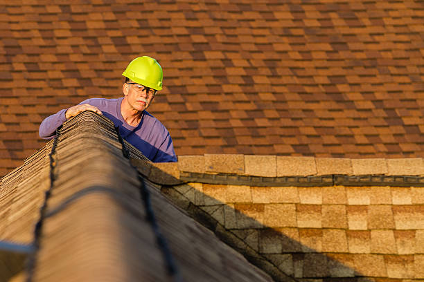 Professional Roofing Contractor in Meridian, MS